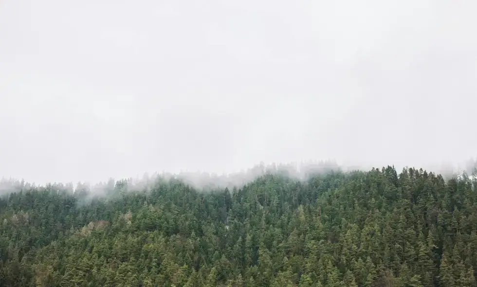 Traveling on Slovak highways