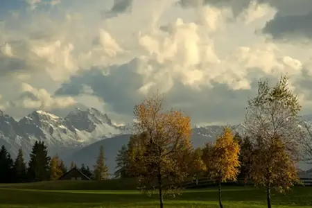 Cumpărați Austria vigneta