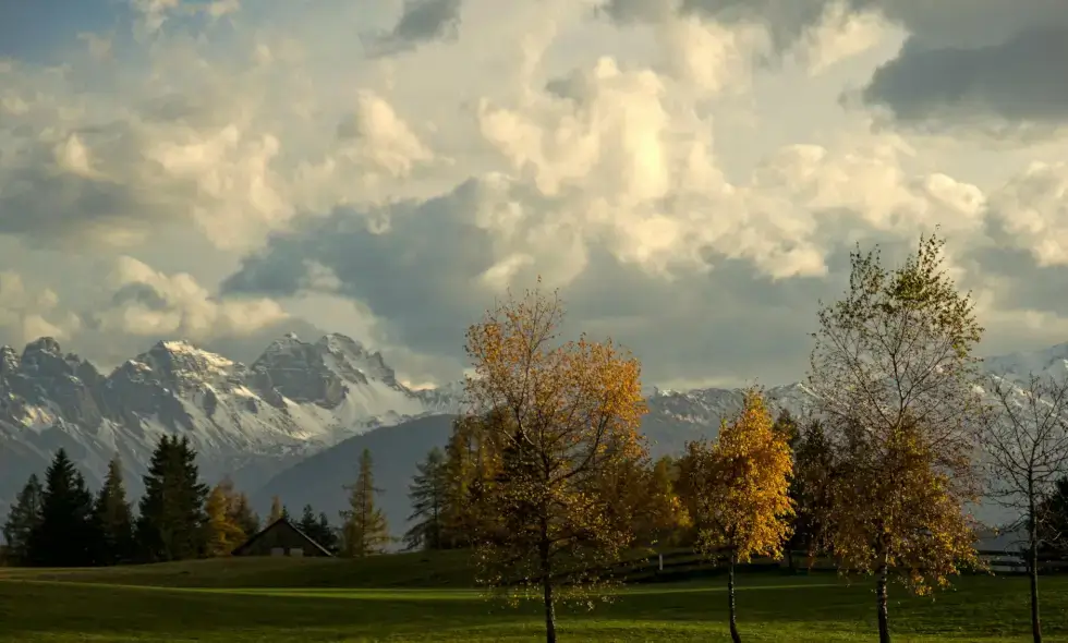 Cumpărați Austria vigneta