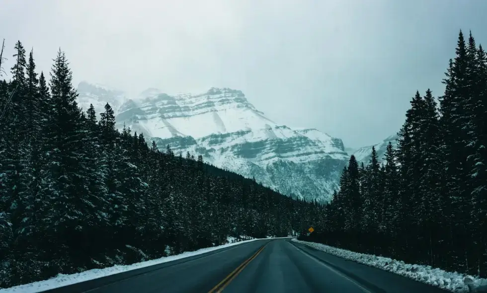 Wildlife crossings over motorways: new paths to harmony between nature and man