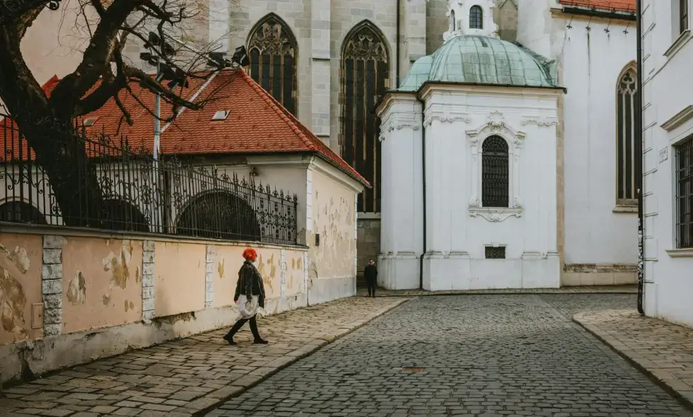 Slovak vi̇nyet'i satın almanın ve kullanmanın faydaları