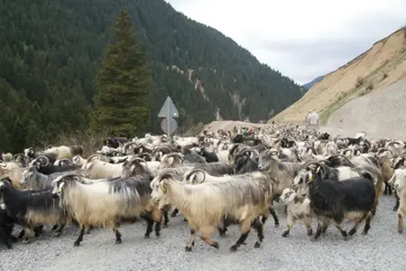 Inizia la costruzione dell'autostrada Sibiu-Făgăraș