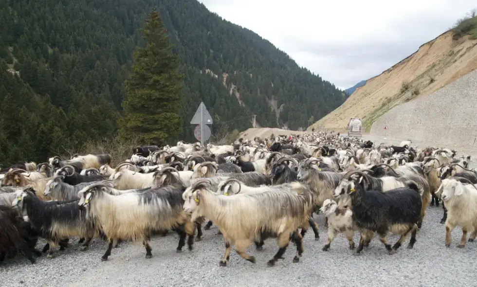 Inizia la costruzione dell'autostrada Sibiu-Făgăraș