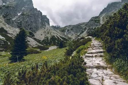 Divy Slovenska po dálnici