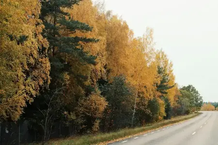 Kladno bölgesindeki D6 otoyolunun büyük yenilemesi geç tamamlandı.