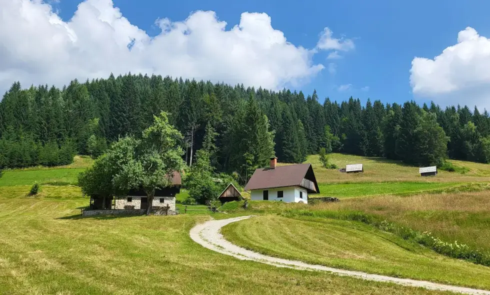 Slovenya'da yol gezisi: Haydi turistik yerleri keşfedelim