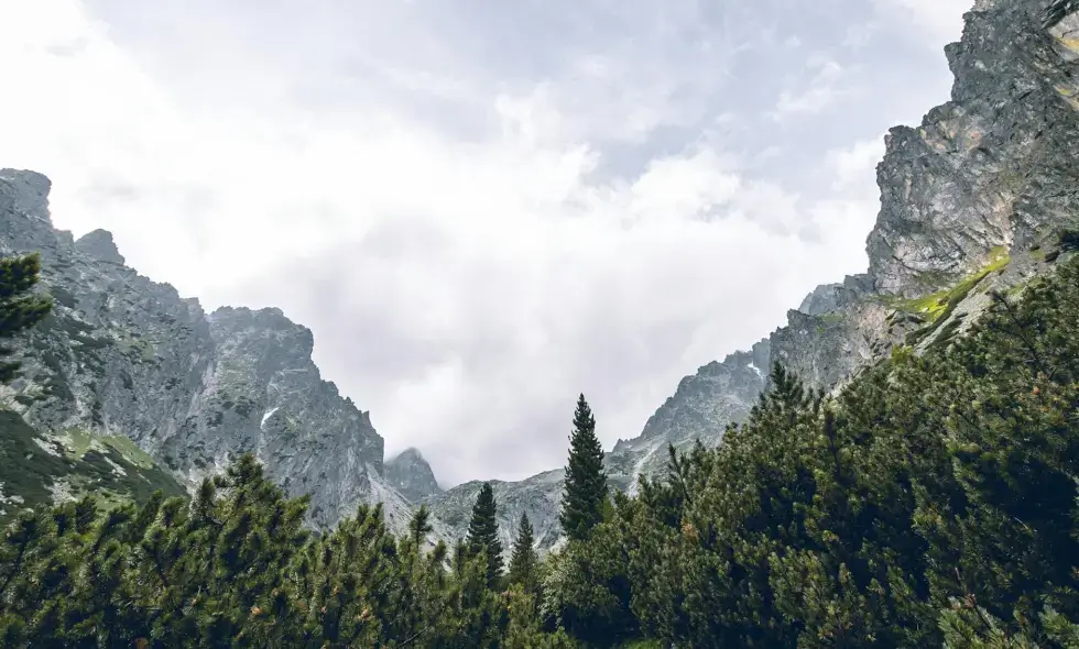 Οι αυτοκινητόδρομοι της Σλοβακίας και οι διαθέσιμοι προορισμοί τους