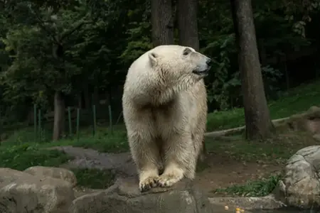 Možnosti dopravy na dálnici v České republice