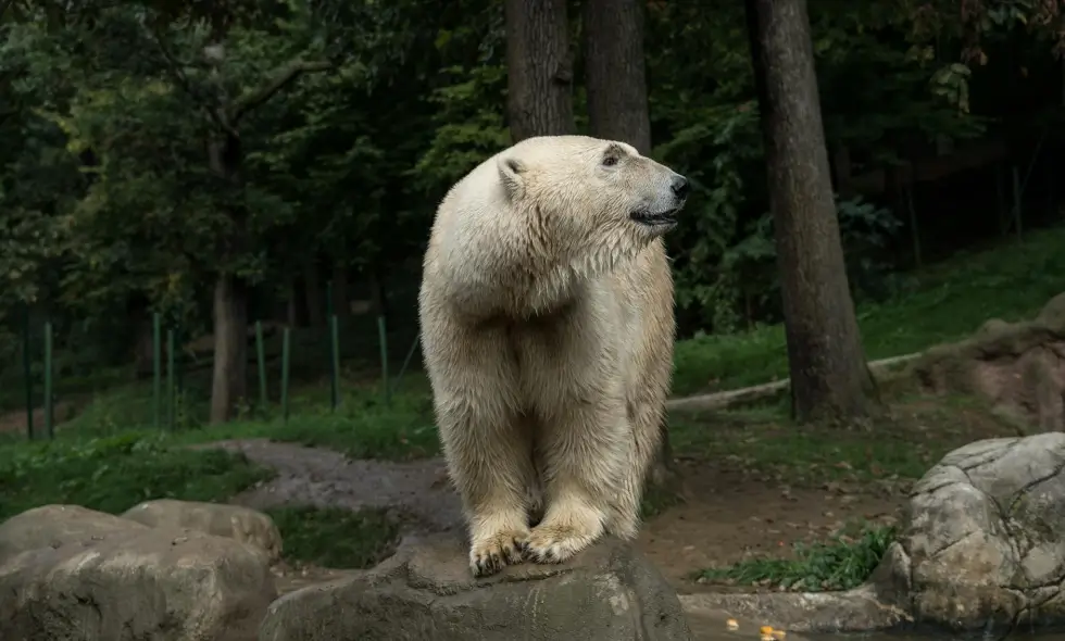 Možnosti dopravy na dálnici v České republice