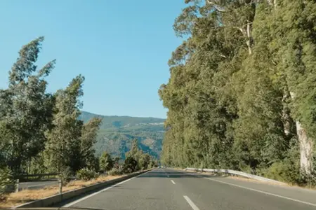 Slovinské dálnice a informace o nákupu dálniční známky na rok 2025