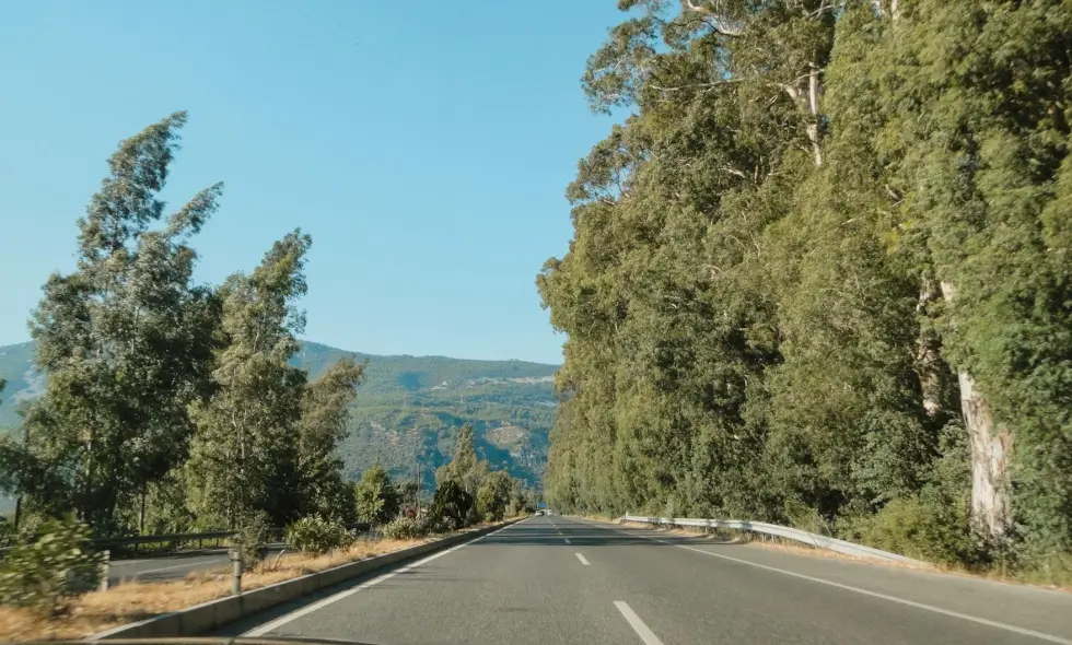 Autostrăzile din Slovenia și informații importante despre achiziționarea vignetei pentru 2025